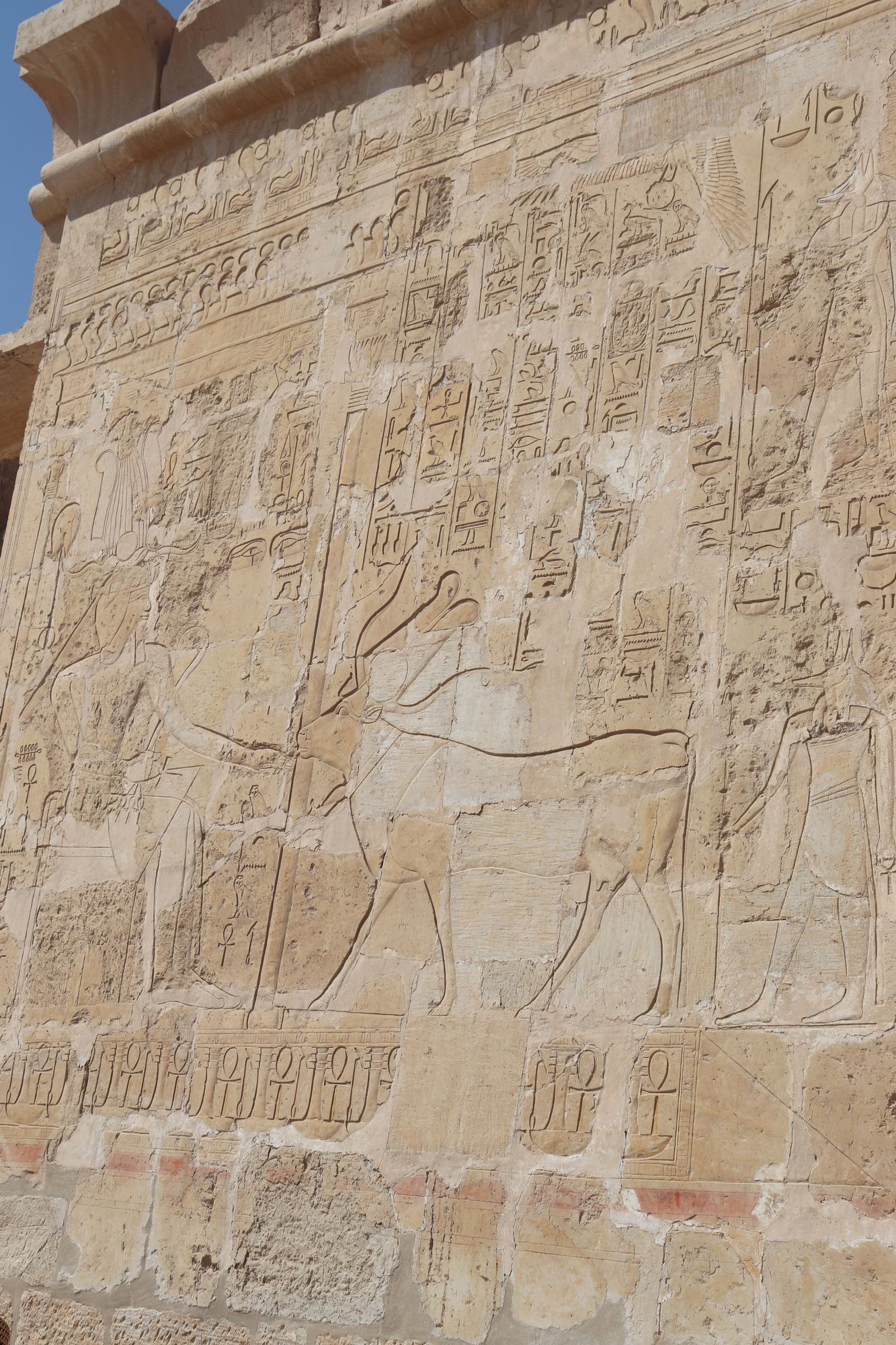 Antiguo Egipto - Templo de Hatshepsut en Deir el-Bahari - Egiptología